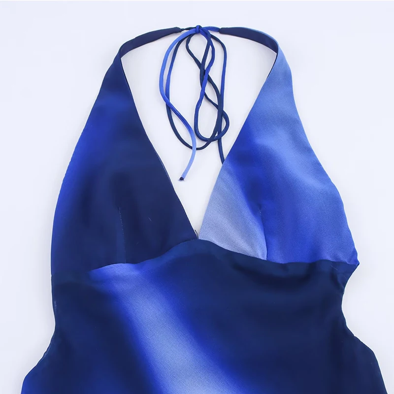 2025 Summer New Women's Dress Fashion Print Tied Halter Elegant Long Dresses For Women Backless Sexy Evening Party Dresses