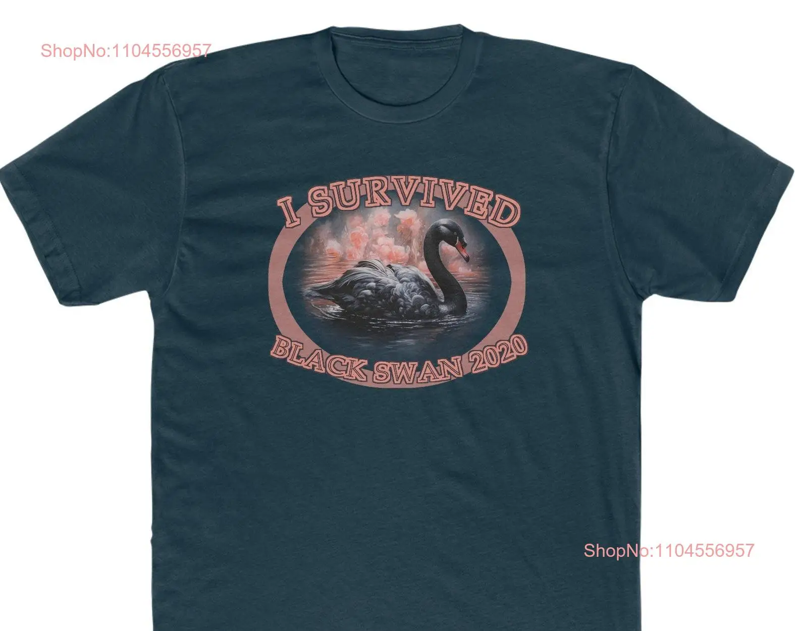 Understanding the Stock Market Black Swan and Its Impact on Investors