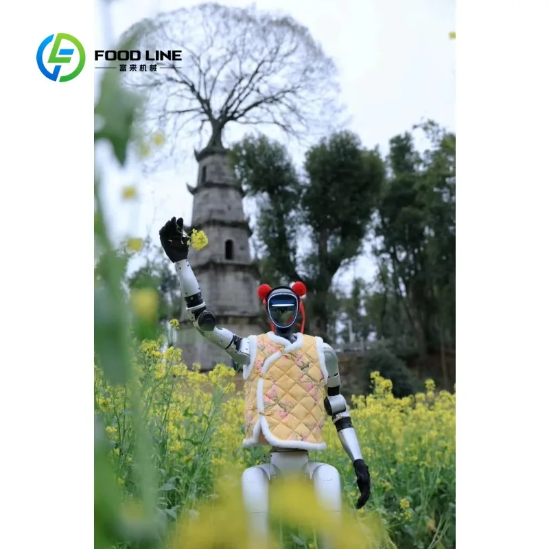 Robot Umanoide Personalizzato Versatile con Evitamento Ostacoli per Navigazione Interna e Assistenza in Spazi Pubblici - immagine 4