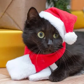Santa Pet Costume Set 1