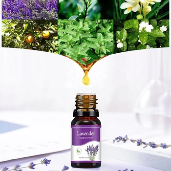 Natural Herb Essential Oils for Aroma Diffuser Air Humidifier Home Water-soluble 10ml Air Freshener Scents Fragrance Oil Perfume 2