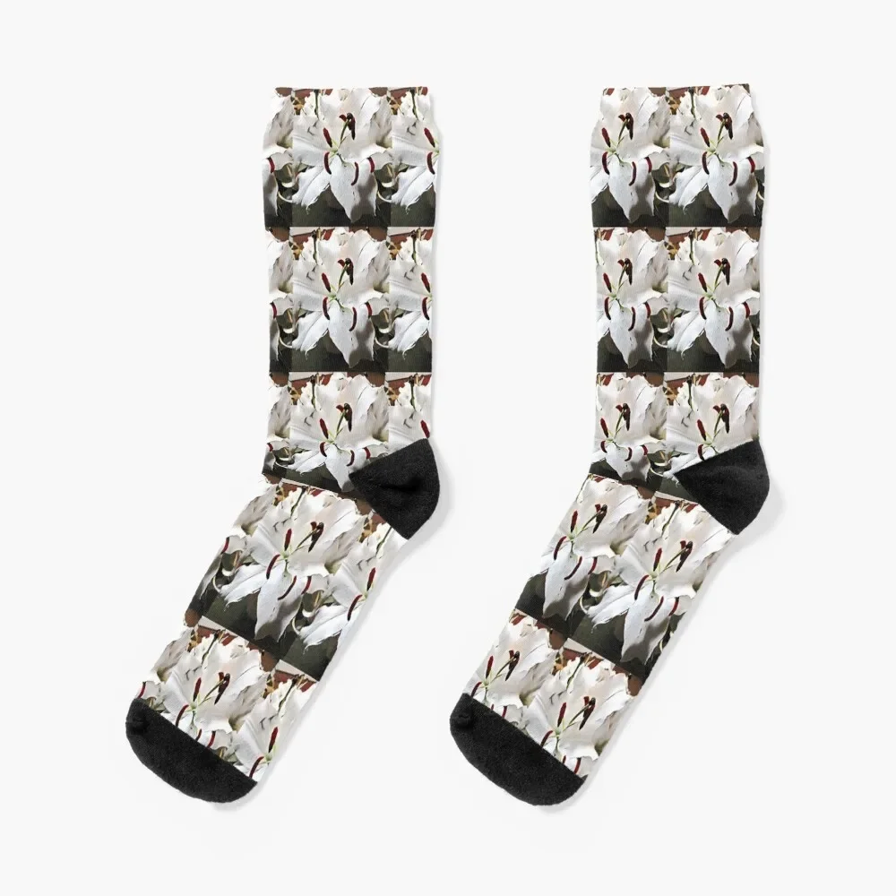 

White Lily Socks new year moving stockings Socks Female Men's