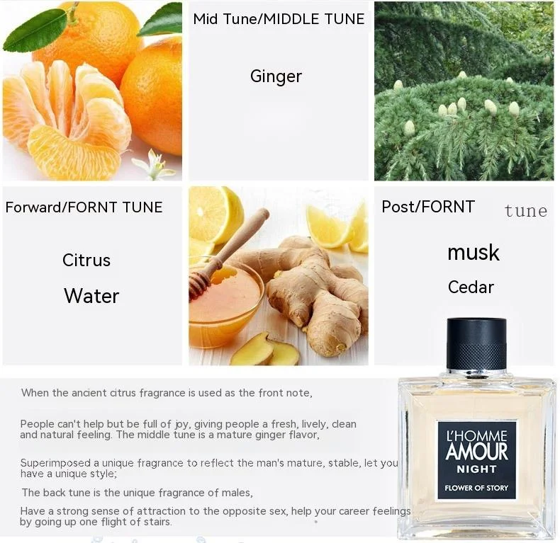 2023 Neues, heißes Parfüm für Männer, Parfüm, französischer Duft, Premium-Geschenkbox, große Flasche, 100 ml, Duft mit Fruchtgeschmack_voghion.com