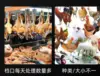 Chicken and duck plucking electric shaver chicken, duck and goose feather automatic stripping machine stripping bamboo shoots 4