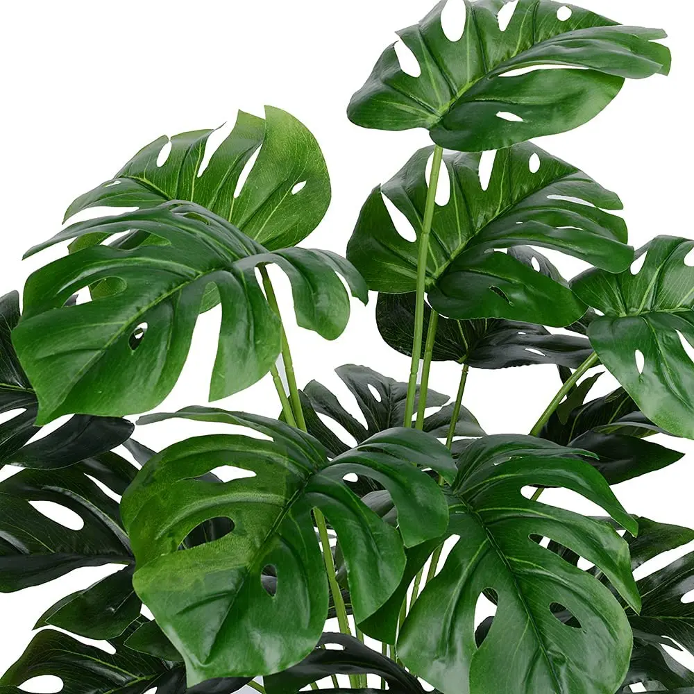 NOLITOY 30 Pçs 5 Luz Para Folhas Coloridas Decoração De Planta Falsa Ramos  Tropicais Decorações Escuras Plantas Tartaruga Monstera Palma Festa Em Casa  Tema Da Árvore Praia Faux