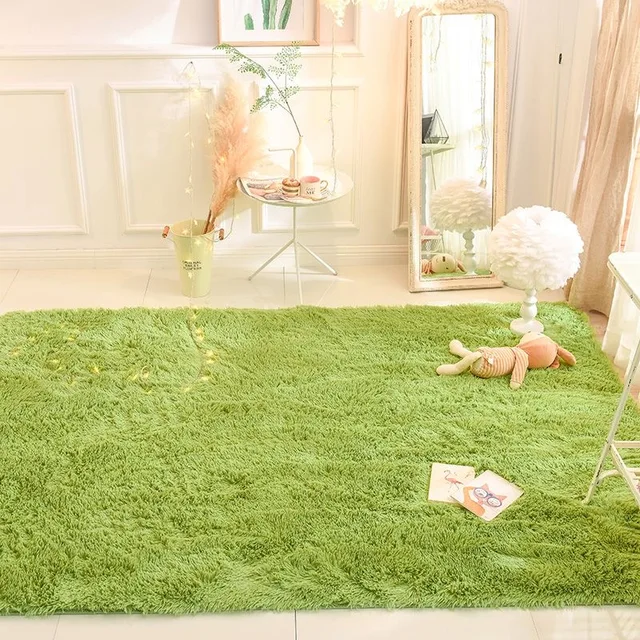 Fluffy Plush Area Rug 3