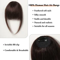 100% cheveux humains frange naturel brun vaporeux Bang pince à cheveux en frange frange avec branches postiche pour femmes pince sur Air Bang 4,5 pouces 2