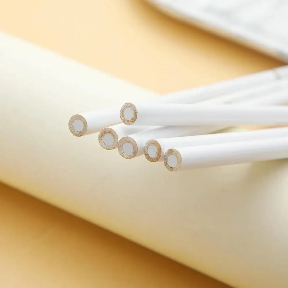 5 조각 흰색 숯 스케치 연필 부드러운 색칠 그리기 분필 연필 학생 초보자를위한 휴대용 미술 쓰기 연필