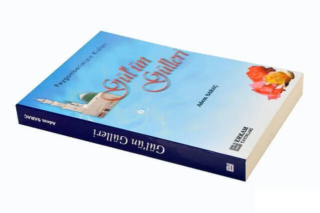 Рисунок 2 - Гранулы, гранулы-Адам седлер-э