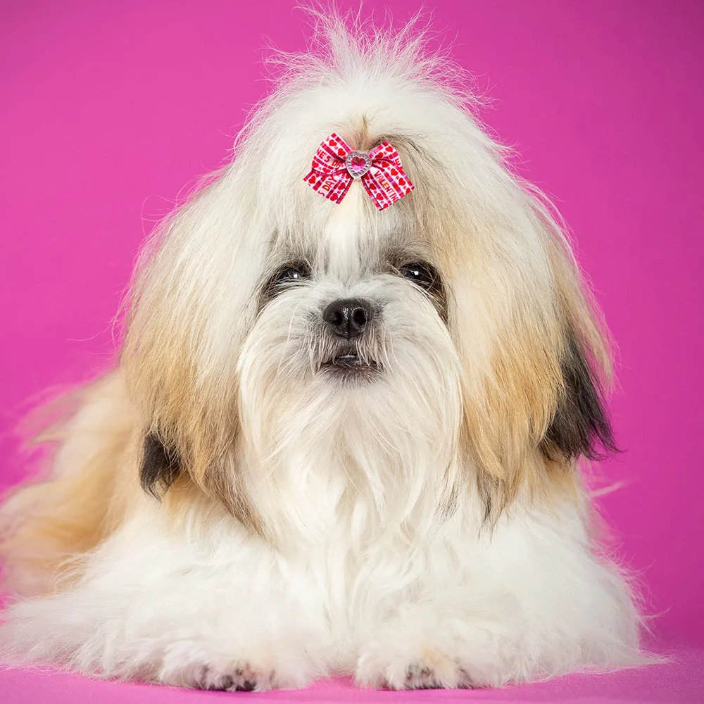 Title 3, 20PCS Red/Pink Series Dog Bows Valentines Day ...