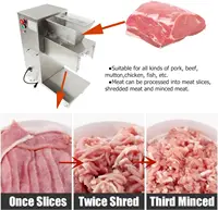 Haywhnkn 2.5Mm Meat Cutting Machine Commercial Meat Cutter Machine Meat Slicer For Meat Slice/Shredded Meat Full Stainless 2