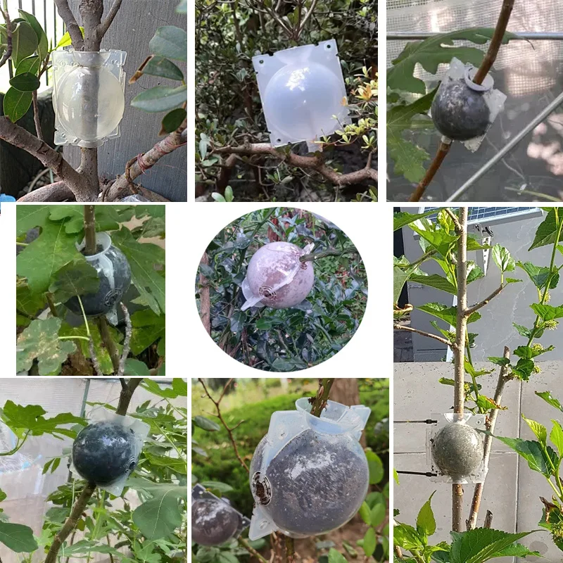 5cm Plant Tree Rooting Ball Root Box High-pressure Plastic Case Transparent Flower Grafting Rooter Growing Breeding