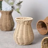 Decorative Rattan Vase Woven Decorative Table Vase for Dried Flower,Home and Office Durability and Waterproof Decors 4