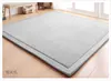 Plain Colour Coral Velvet Living Room Carpet Big Size Room Decor Rugs Thickening Japanese Tatami Mat Non-slip Baby Crawling Mat 5