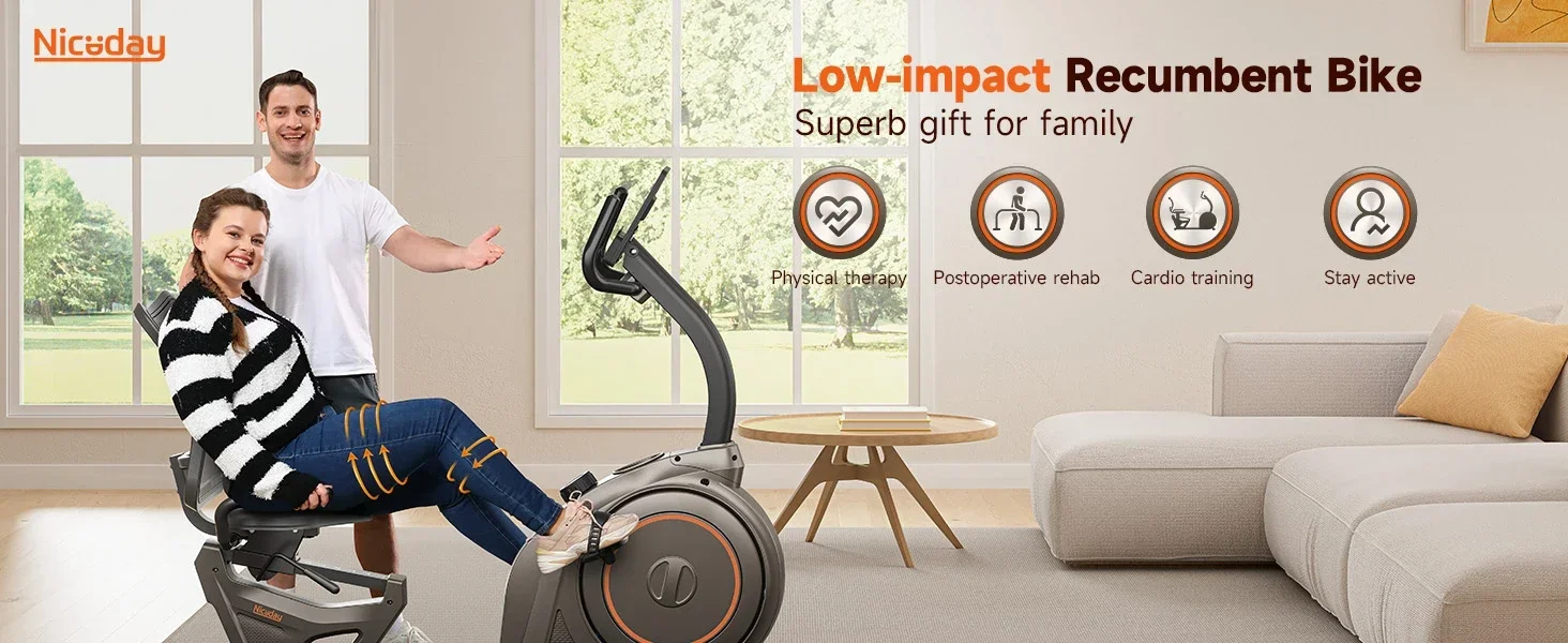 recumbent exercise bike