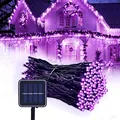 Purple Light