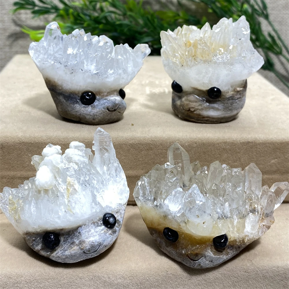 

Hedgehog Carved Skulls Druzy Natural Stone Specimen Crystal Cranium Healing Gemstones Geode Witchcraft Home Decoration Modern