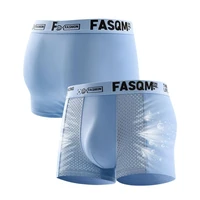 Ice InjCool-Boxers doux et confortables pour hommes, slips pour abonnés, sous-vêtements en maille respirante, troncs extensibles, 1PC 2