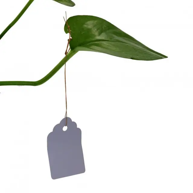 100 db Növényi Függő Címke Diy Műanyag Címkék Számlemez Ékszer Ajándékjegyek Ár Fej Jelölők Az Esküvői Kerthez - Image 6
