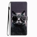 Glassy Cat