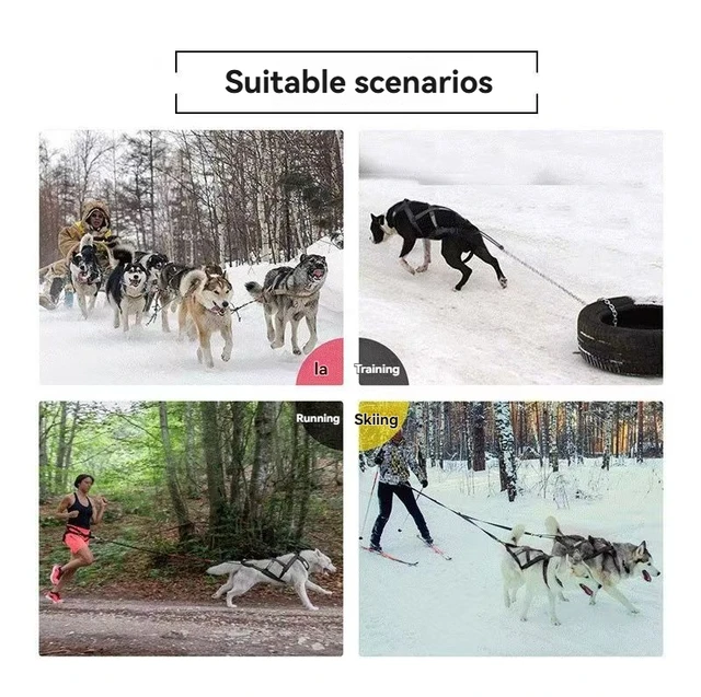 Dog Outdoor Sled Chest Strap Dog Weight Training Traction Strap Husky Samo Snowboard Traction Rope 6