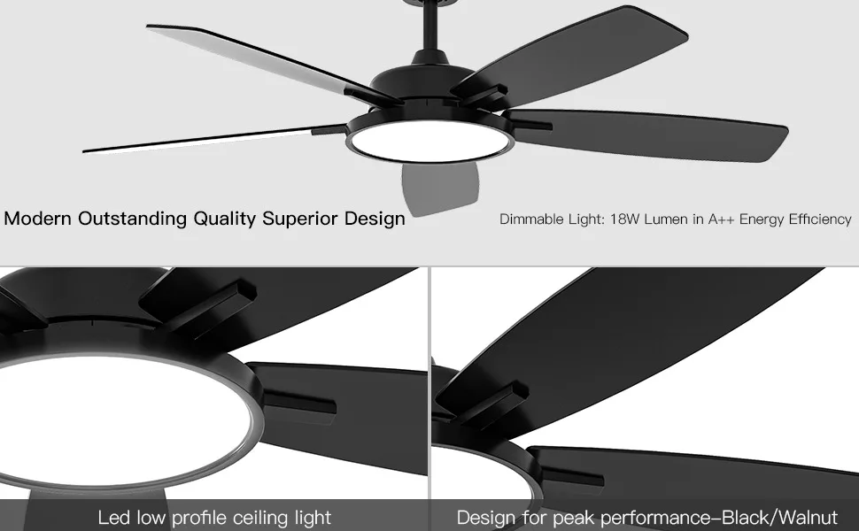 Black ceiling fan with light