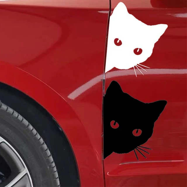 Lustige Auto Aufkleber Howdy Katze Design Auto Fenster Aufkleber Laptop Aufkleber  Auto Wasserdichte Vinyl Zubehör Dekore - AliExpress