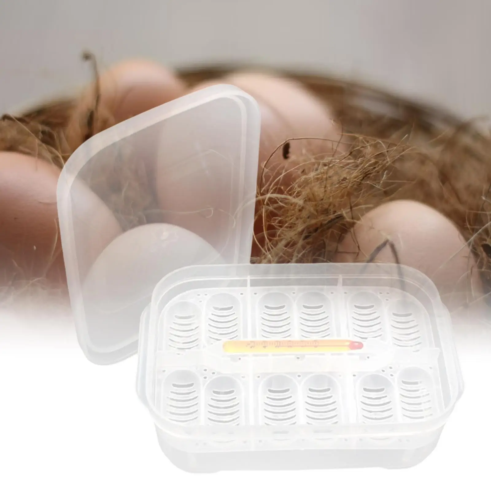Reptile egg incubator Plastic Reptile Egg Tray Incubator 12 Grids Thermometer with Eggs Tray Tool Container for Hatching Breeding Supplies Gecko Snake