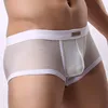 BRAVE PERSON Men Mesh Boxers Underwear Sexy Bulge See-through Penis Pouch Low Waist Male Panties Erotic Transparent Man Lingerie 5