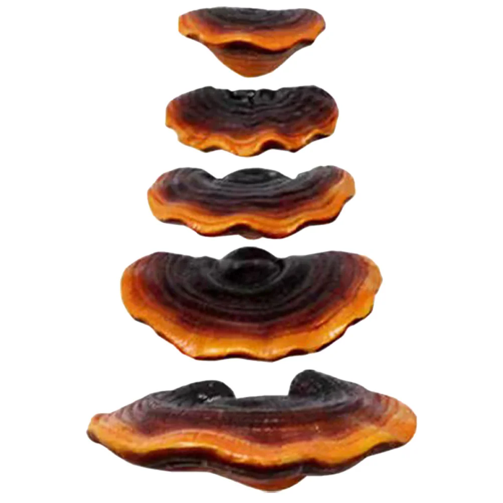 

Astetic Room Decor Miniature Mushroom Indoor Resin Bonsai Small Figurine Micro Statue