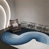 Special-Shaped Thickened Carpet, Irregular Carpet, Living Room, Sofa, Coffee Table, Bedroom, Bedside, Home Decoration, Plush Rug 3