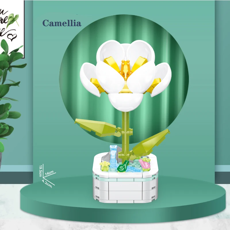 103C-Camellia