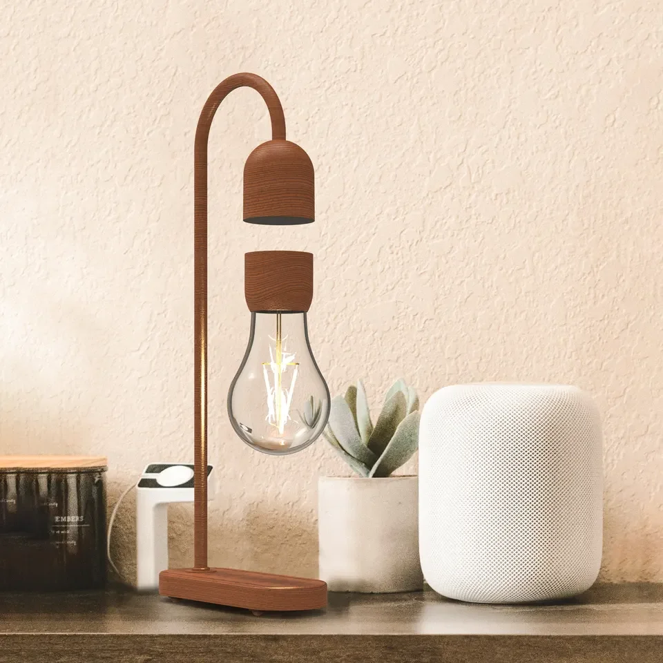 Рисунок 4 - Магнитная левитация