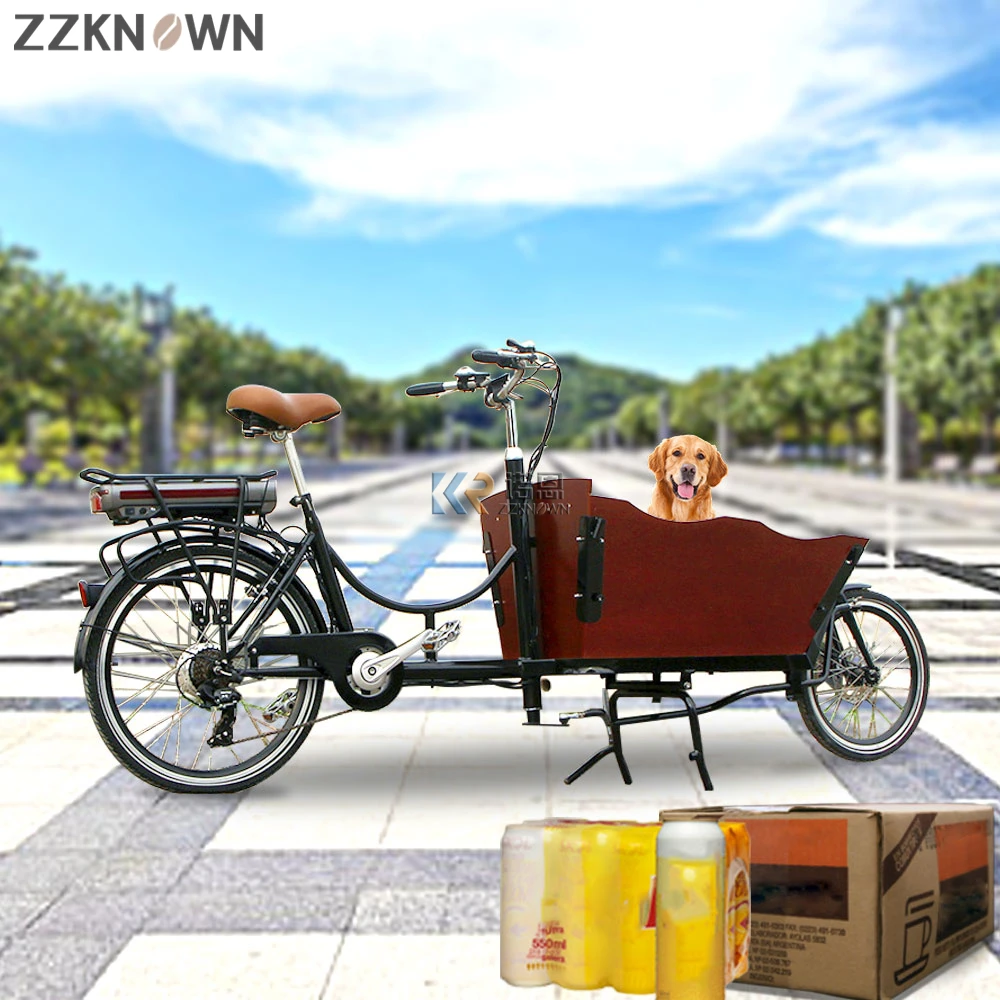 slim Lijkt op vloeiend 2 Wiel Elektrische Volwassen Cargo Bike Rear Hub Motor Familie Kids Carry  Fiets Velo 250W Te Koop| | - AliExpress
