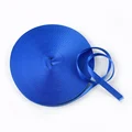 RoyalBlue