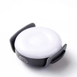 Truelove Waterproof LED Safety Light (White)