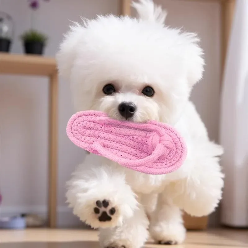 Dog Chewing Toy Cotton Slipper Rope Toy for Small Large Dogs Pet Teeth Training Molar Toys Interactive Dog Toy Dog Accessories