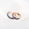 WYEAIIR 925 Sterling Silver Van Gogh Starry Sky Resizable Opening Couple Rings Blue Drop Glaze Sweet Romantic For Women Jewelry 3