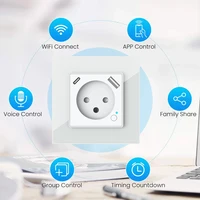 Melery Tuya WiFi Smart Israel Wall Socket EU Power Plug Outlet USB Type-C PD 20W Charge Port for Iphone Alexa Dot Google Home - Image 4