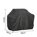 100x66x80cm