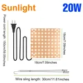20W Sunlight