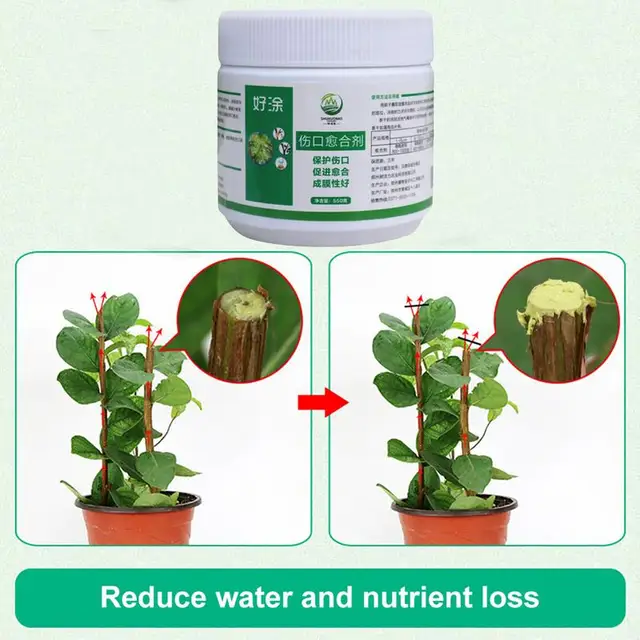 Fa Seb Tömítés Multifunkciós Metsző Pecsét Bonsai Kerti Gyógyító Krém Vágó Paszta - Image 6