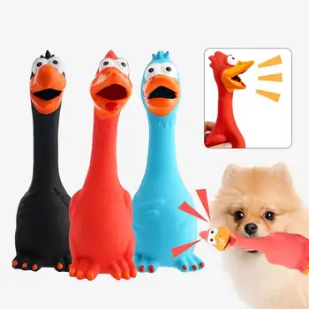 New Squeak Dog Toy Chew Bone Squeaky Ball Chicken Sound Dog Toys Tooth Grinding Training Pet Toy Supplies  Dog Accessories 1