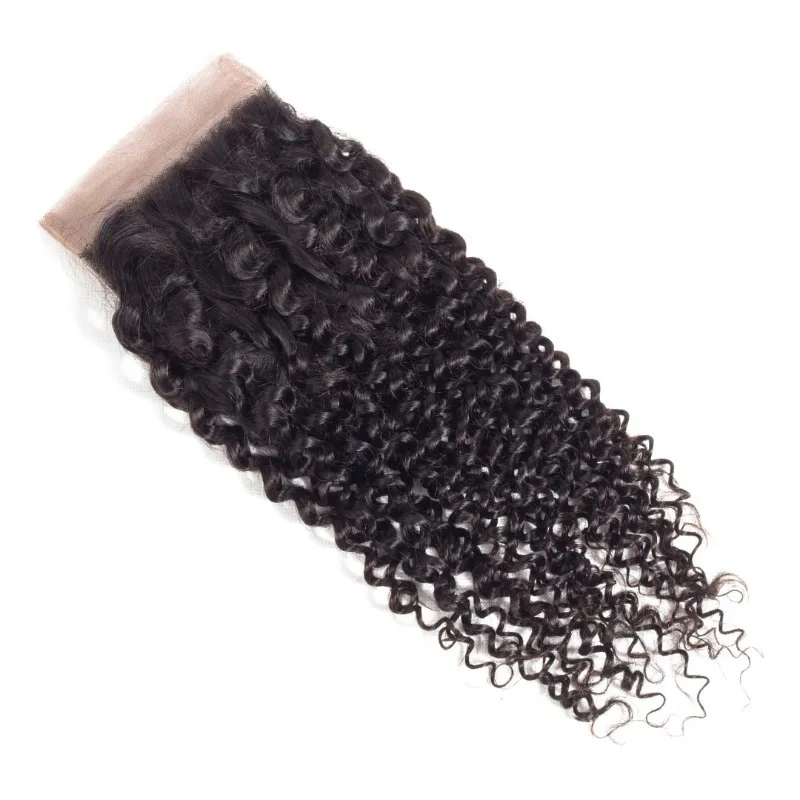 Kinky Curly 4x4 Lace Closure Human Hair Pre-Plucked Natural Color Brazilian Virgin Hair Transparent Lace Closure For Women