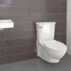Standard Glenwall VorMax Wall Hung Elongated Toilet with Left Hand Trip Lever Gpf White White squatting toilet 6