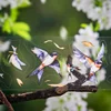 5x200cm Flying Bird Decorative PET Tape Collage Decoration Journal Mobile Laptop Masking Tapes School Stationery Label Sticker 4