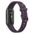 Dark Purple