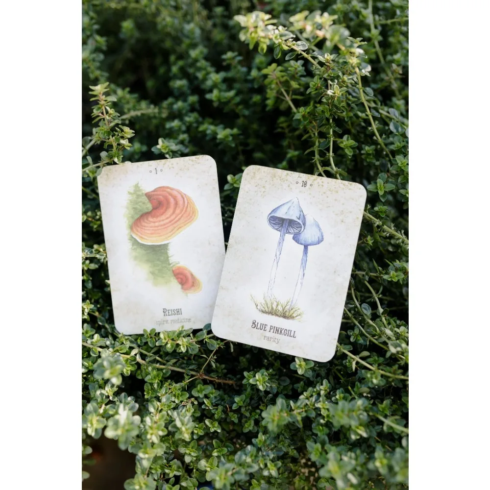 10.4*7.3cm Mushroom Spirit Oracle Cards 36 Pcs Hand-drawn Images of Mushrooms From All Over The World 6