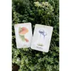 10.4*7.3cm Mushroom Spirit Oracle Cards 36 Pcs Hand-drawn Images of Mushrooms From All Over The World 6