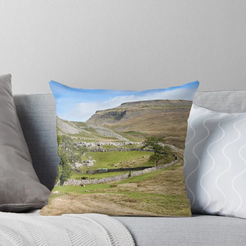 

Ingleborough in the Yorkshire Dales Throw Pillow Sofa Cushions Cushion Child